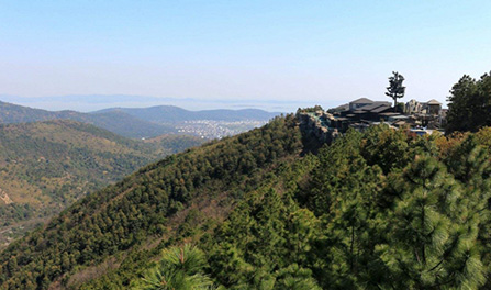 pg�齫����(�ٷ�)����IOS/��׿��/�ֻ���APP����