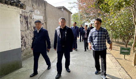 pg�齫����(�ٷ�)����IOS/��׿��/�ֻ���APP����